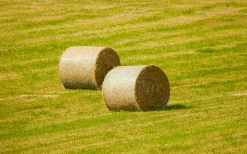 a group of bales of hay on a field